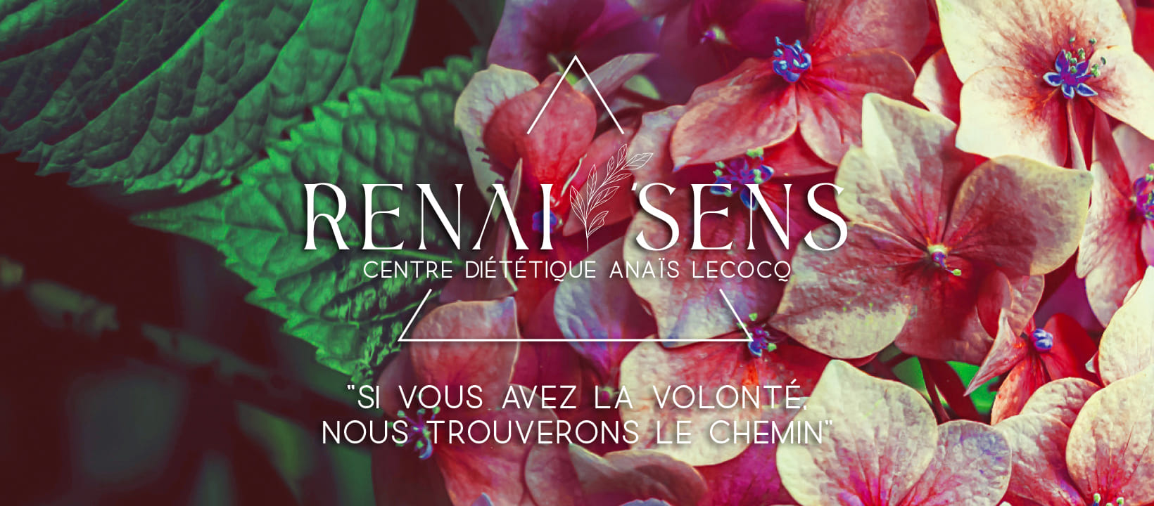 Anaïs Lecocq Diététicienne